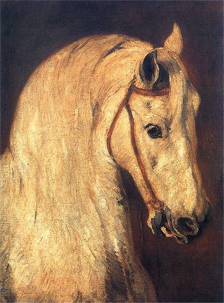 Study of Horse Head