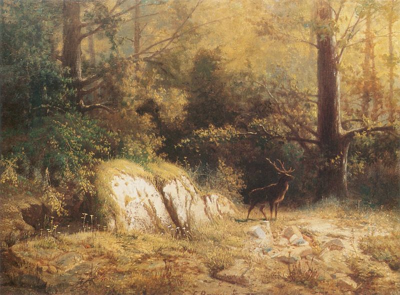Krajobraz leśny z jeleniem