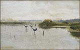 Decoy Ducks on the Lake