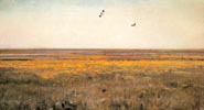 Spring. Marsh Marigolds