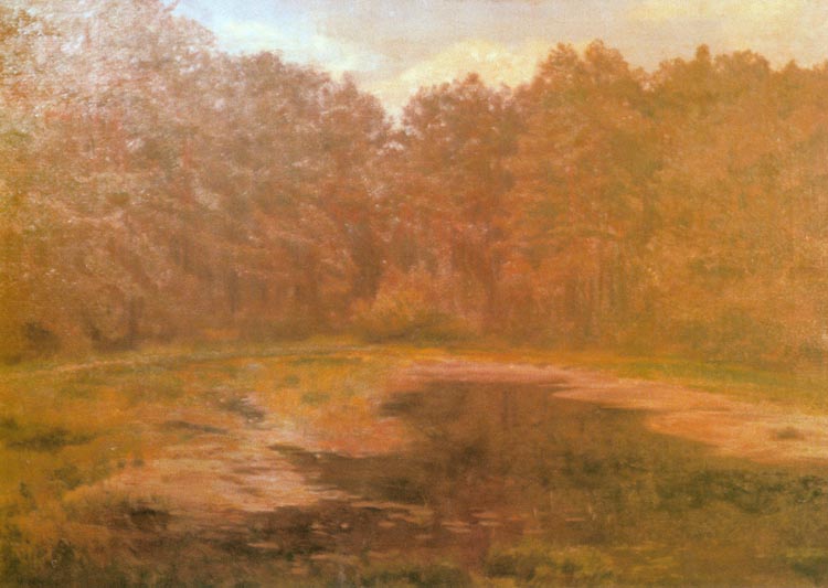 Pond in a Forest