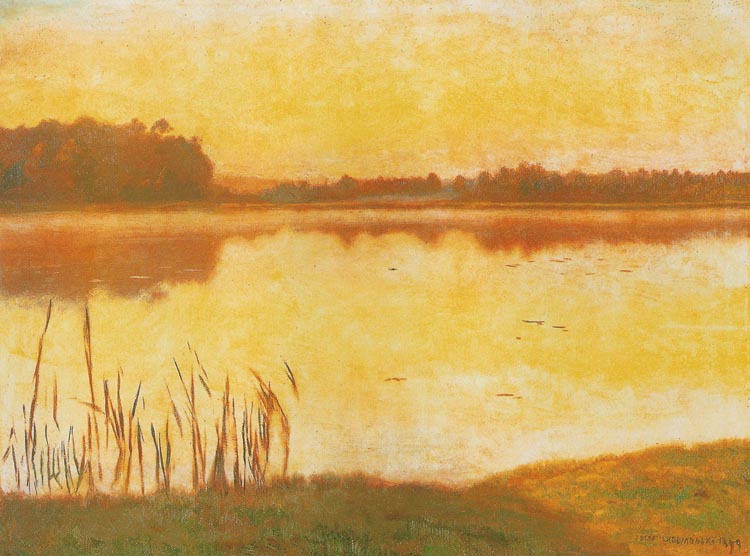 Pond in Radziejowice