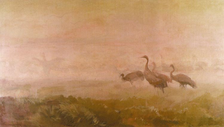 Cranes at Dawn