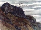Crows above a Cliff