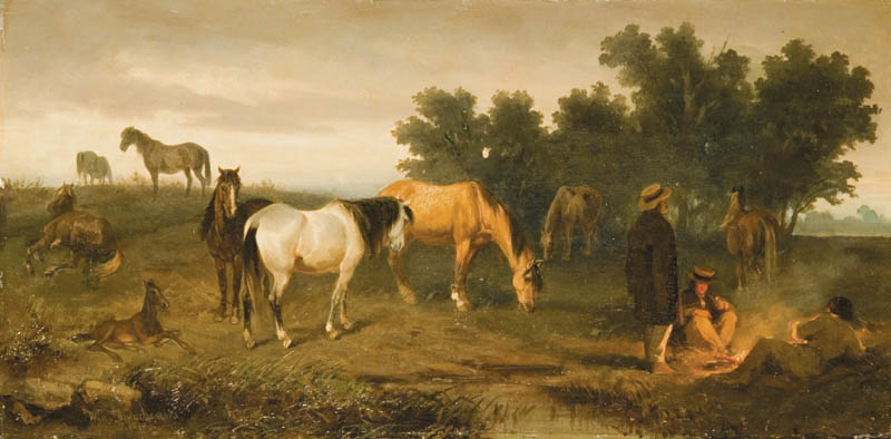On a Pasture