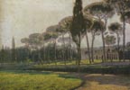 Stone Pine Trees in the Villa Borghese Gardens in Rome