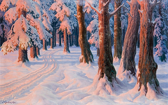 Winter Forest at Sunset