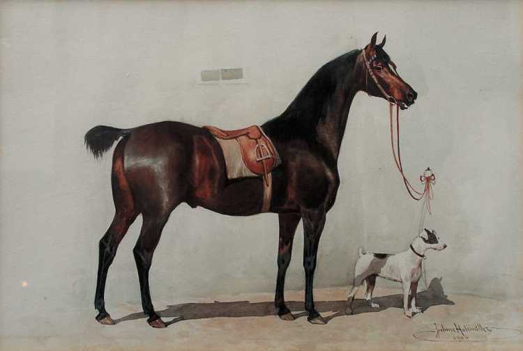 Horse and Dog
