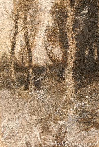 Wanderer in the Forest