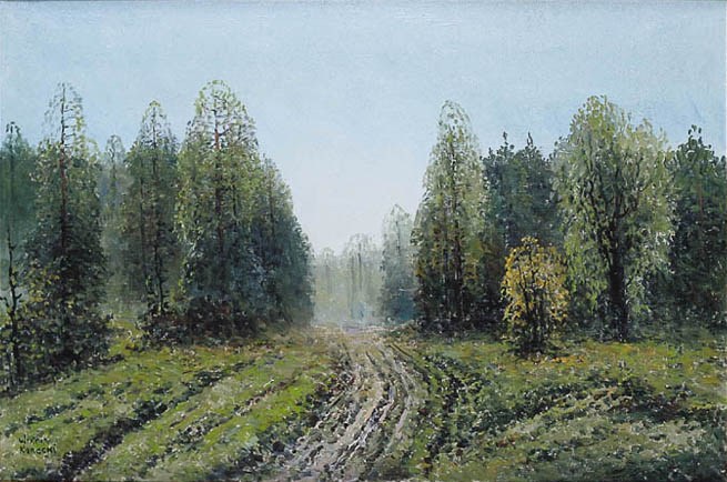 Road through a Forest