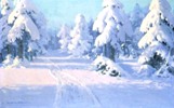 Spruce Pines in Snow