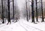 Zim w lesie