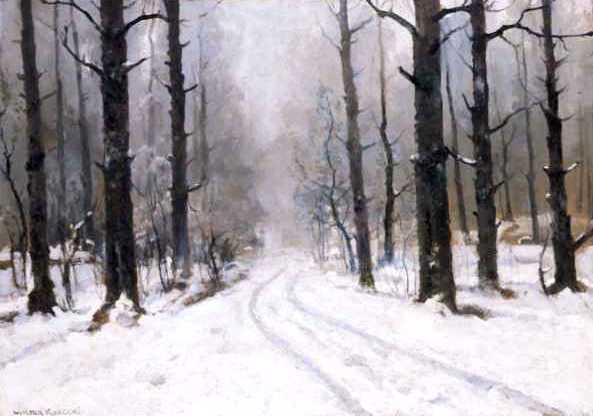 Zimą w lesie