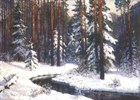 Winter in Forest