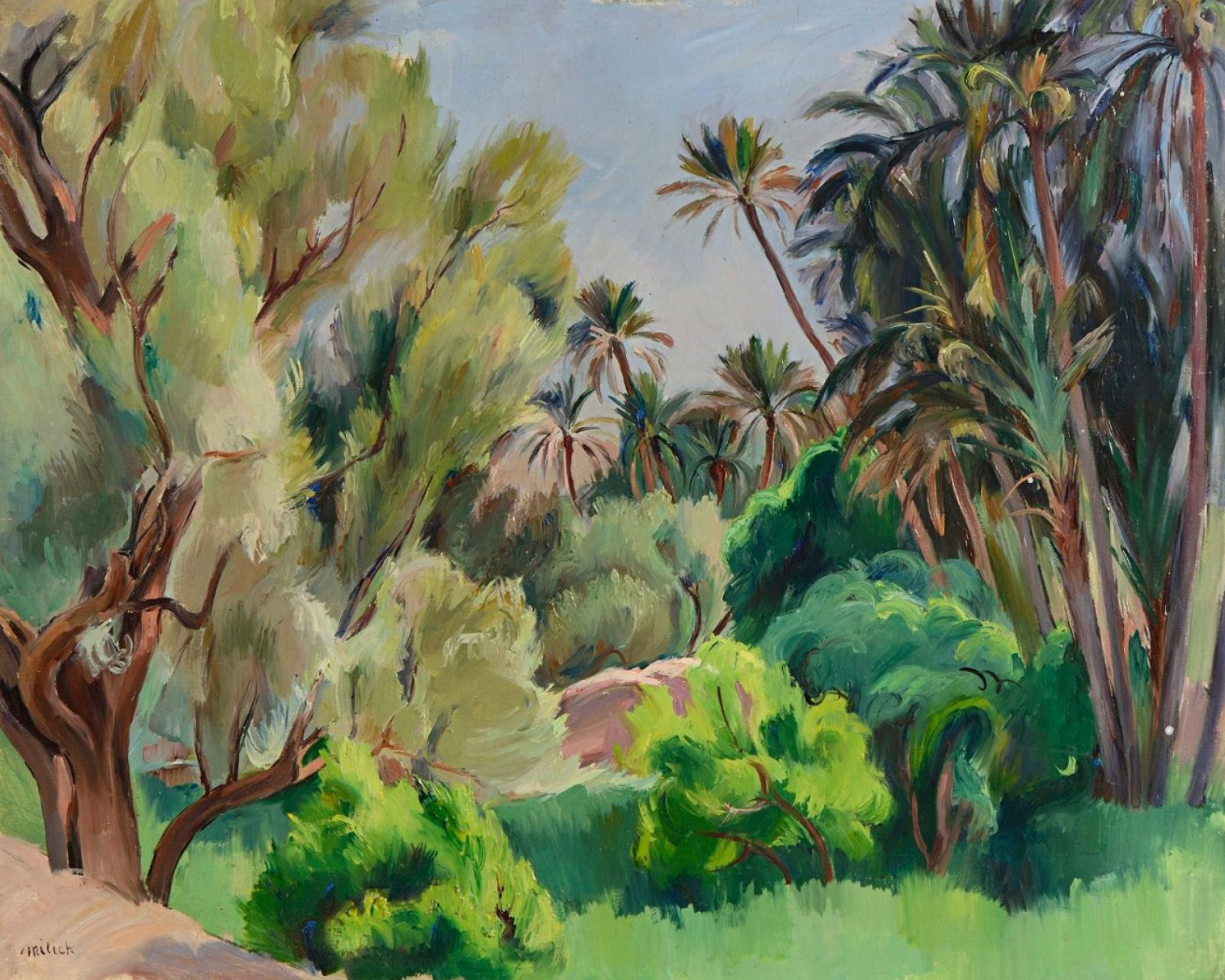 Palms in Gafsa