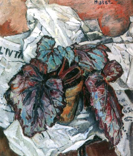 Still Life with Begonia