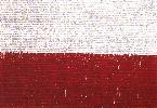 Polacy formuj flag narodow