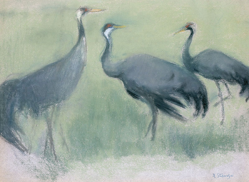 Cranes
