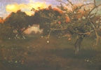 Orchard. Biala Cerkiew