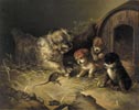 Rat wit a Dog and Three Puppies