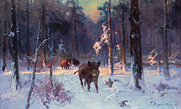 Wild Boars in a Winter Forest