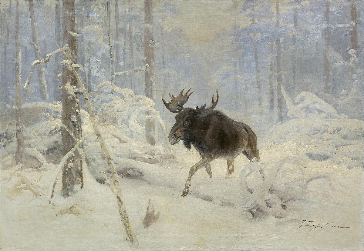 Moose in a Winter Forest
