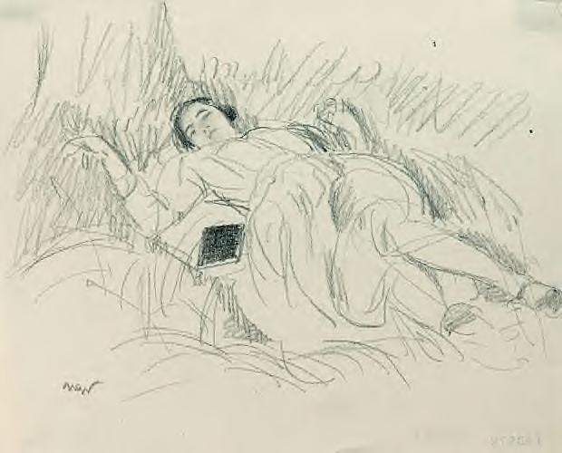 Aneri śpiąca na trawie