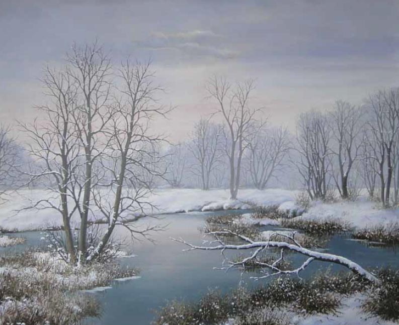 Biebrza River in Winter
