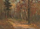 Autumnal Forest Track