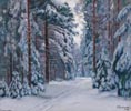 Snowy Path in the Forest